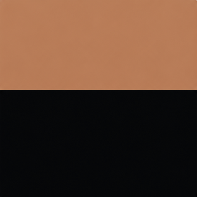 Two-tone cuero and black color swatch