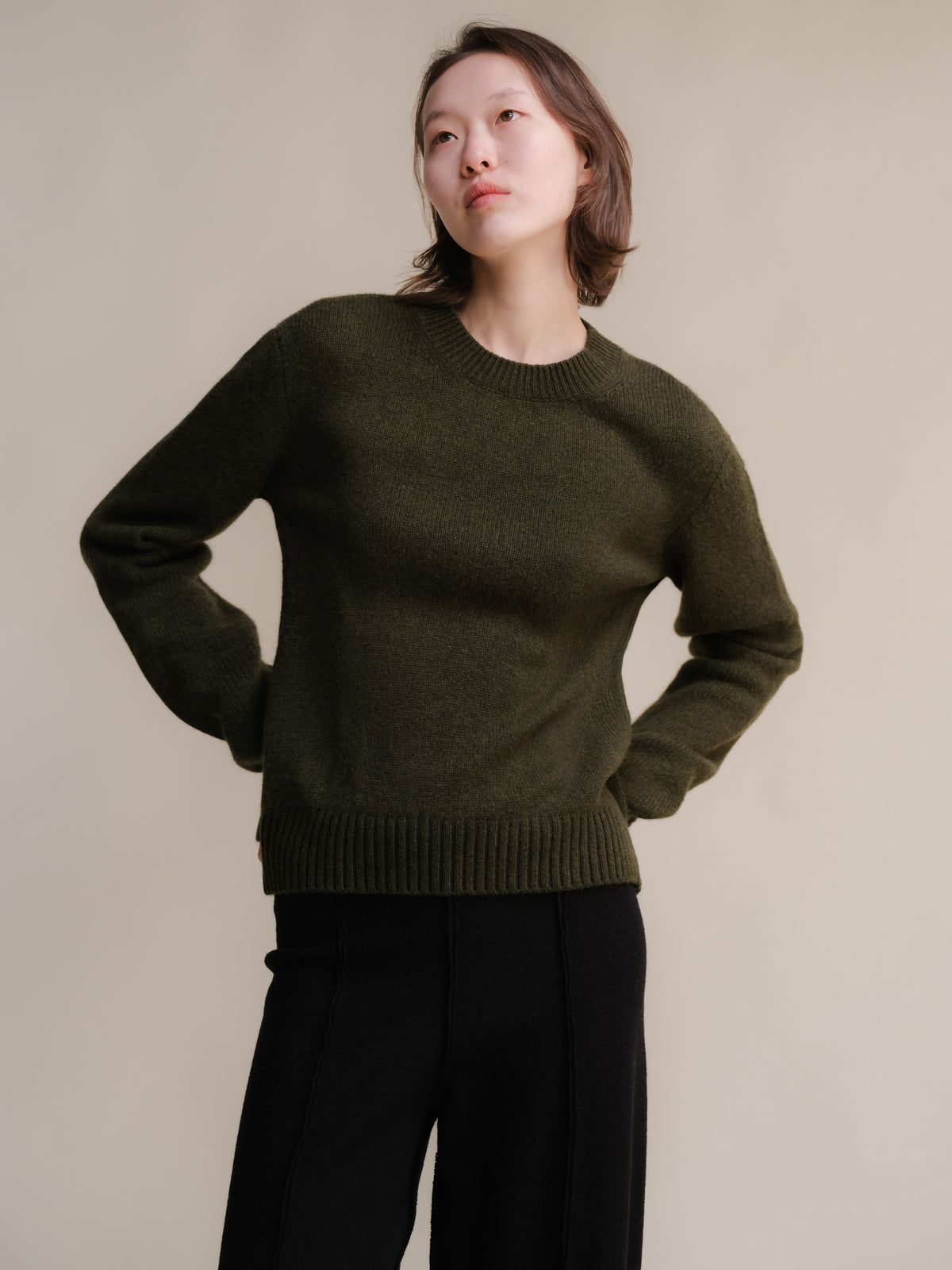 Pure Cashmere Crewneck Sweater