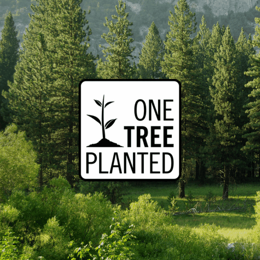 Donation of a Tree San Rocco Italia