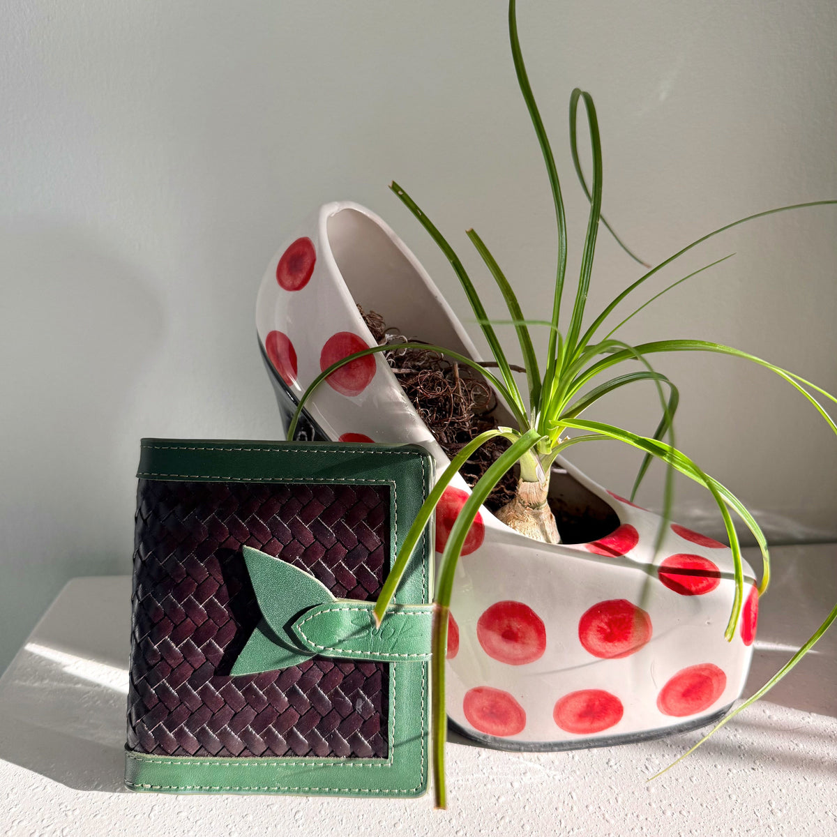 Lumi - Handwoven Leather Wallet | Vert&Dark Café with woven dark coffee leather and green leather trim beside a white pot with red dots and plant.