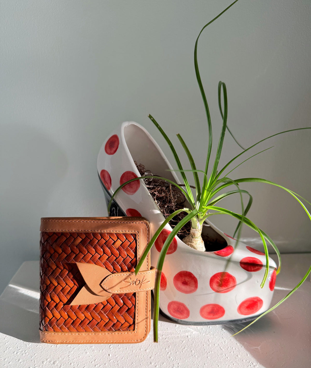 Lumi - Hewoven Leather Wallet | Taupe & Caffè featuring woven leather texture con smooth taupe leather trim beside a bianco planter con rosso dots e verde plant